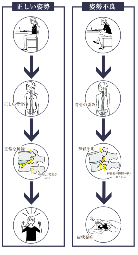 姿勢と神経の関係図